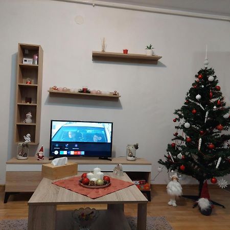 Apartament Ambrus Sighişoara Extérieur photo