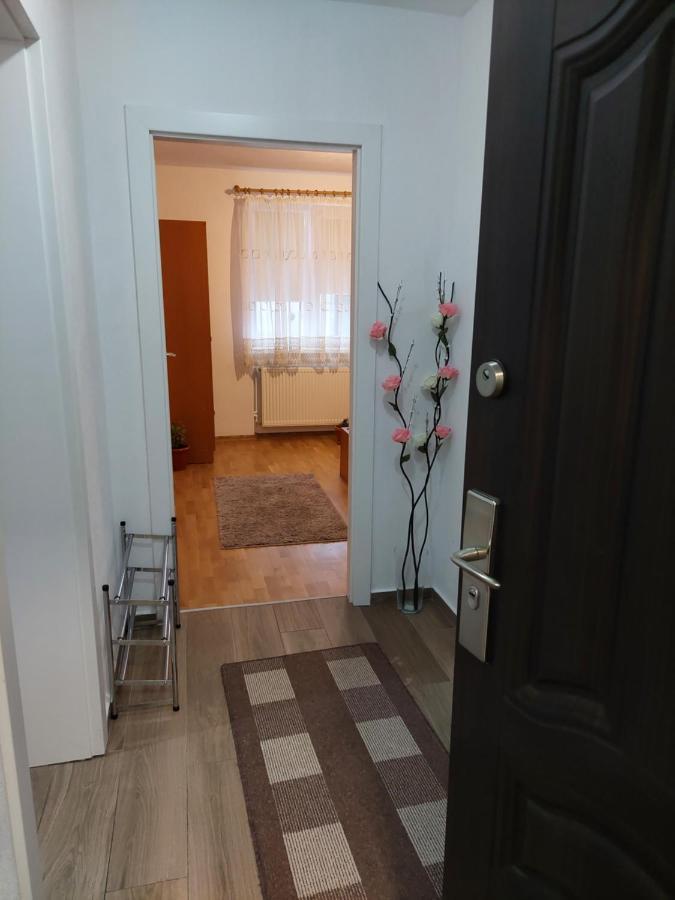 Apartament Ambrus Sighişoara Extérieur photo