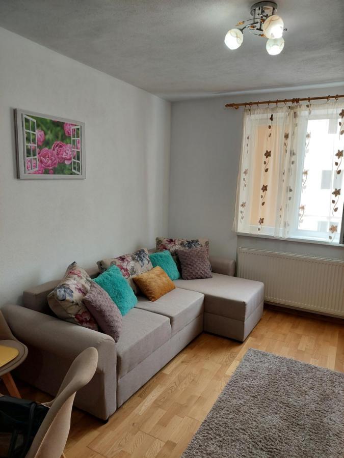 Apartament Ambrus Sighişoara Extérieur photo