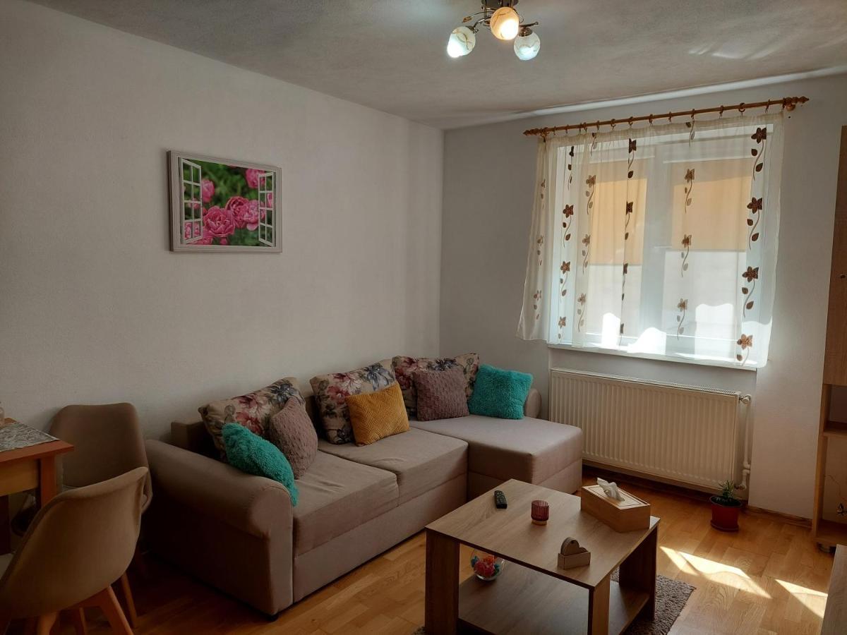 Apartament Ambrus Sighişoara Extérieur photo